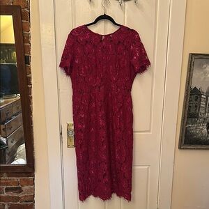 Elegant hot pink Lace Dress